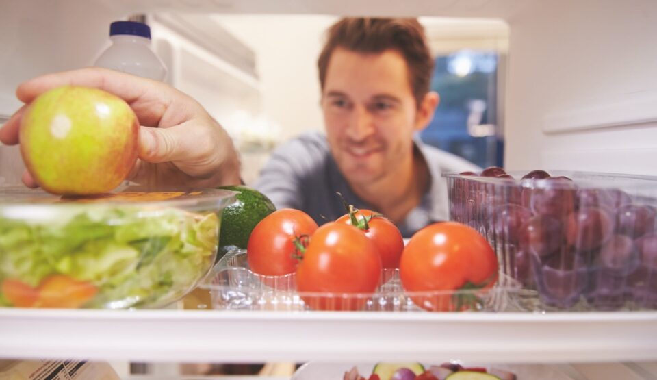 recambios para neveras en Madrid